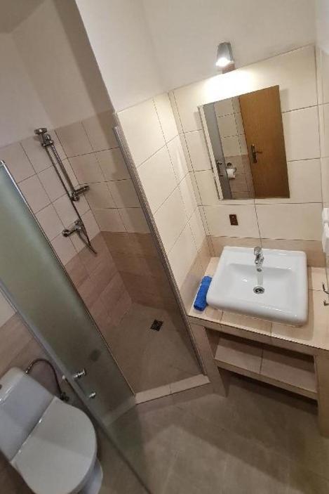 Penzion u Fouska Chodov  Esterno foto